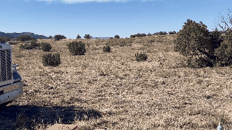 Animated view of the cabin