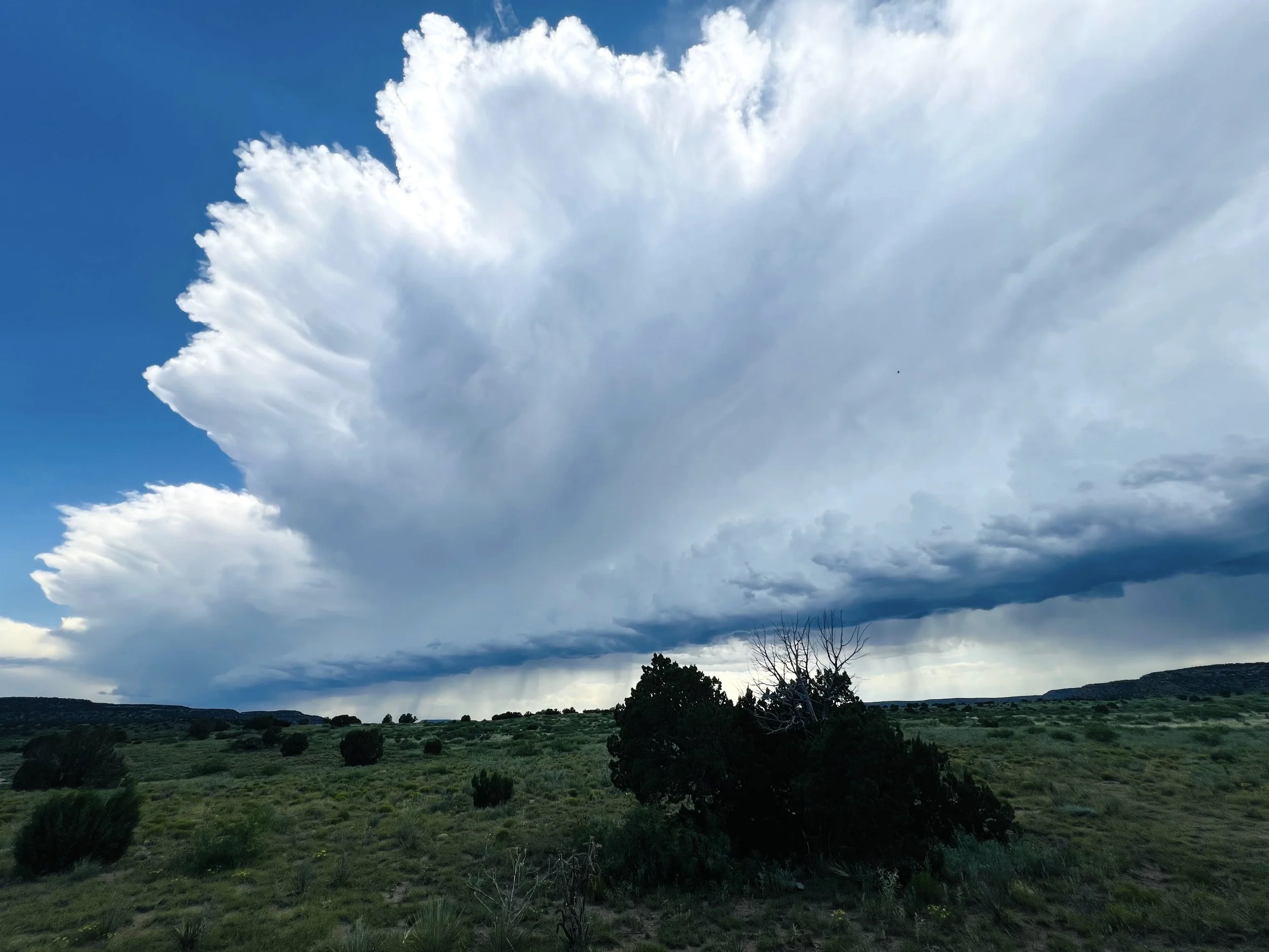 Dragonoid storm cloud over the valley